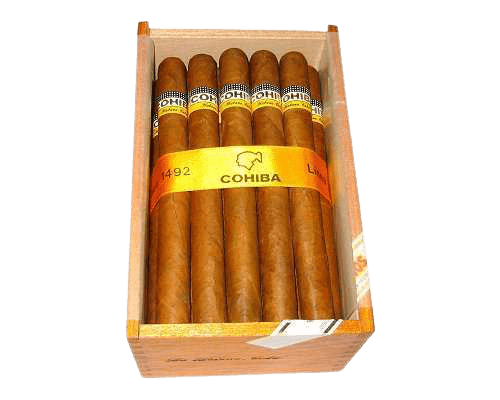 Siglo V